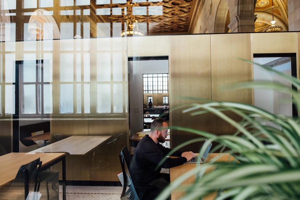 Selectie van verschillende kantoorplanten waaronder Sansevieria, Areca palm en ZZ plant voor luchtzuivering en werkplektransf