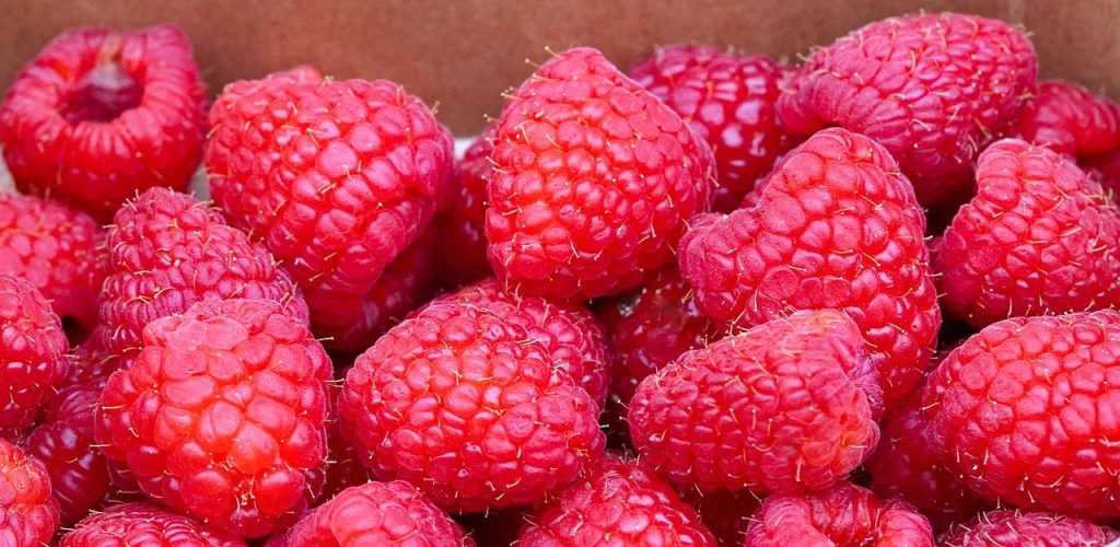 Snackbar Breda Nederlandse snacks en culinaire specialiteiten met verse frikandellen en kroketten